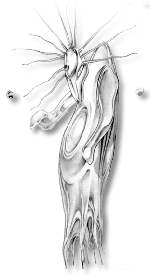 dessin au crayon d'un alien au corps liquide (110 X 110 cm)
